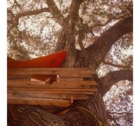 Backseat Lovers Waiting To Spill (Anniversary Edition) (Vinyl) (Importación USA)