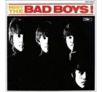 Bad Boys - Meet the Bad Boys