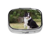 Bad Dog Border Collie, pastillero Meta con 2 compartimentos, organizador portátil