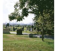 Bad Luck. - Take What You Need (Evergreen Cemetery) [Vinyl LP] [VINYL] [Vinilo]