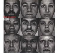 Bad Religion The Gray Race (Vinyl) 12" Album