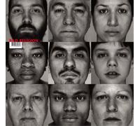 Bad Religion The Gray Race (Vinyl) 12" Album