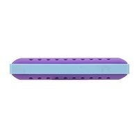 Badafaci Armónica de 10 Orificios con Llave en C, órgano Bucal de Resina con Afinación Profesional, Color Morado, 4,13 X 1,18 X 0,79 Pulgadas, para Niños, Principiantes, Adultos, Práctica de Blues y