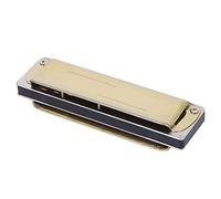 Badafaci Blues Harmonica Professional Mouthorgan Cubierta de Acero Inoxidable 10 Agujeros Adultos Principiantes G Key (GOLD)