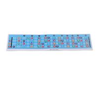 Badafaci Tabla de Notas para Diapasón de bajo, Escala de Aprendizaje Codificada por Colores para bajo Eléctrico de 4 Cuerdas, Teoría Musical Rápida, Accesorios de Papel Artístico, Práctica para