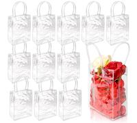 BadenBach 24 bolsas de regalo pequeñas transparentes con asa, 5.9 x 7.9 x 2.8 pulgadas, bolsas de plástico transparente para envolver regalos, a granel, reutilizables, bolsas de regalo transparentes