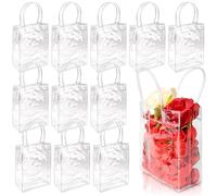 BadenBach 24 bolsas de regalo transparentes con asas, 5.9 x 7.9 x 2.8 pulgadas, pequeñas bolsas de plástico transparente para regalos de fiesta, bolsas de regalo a granel para bodas, baby shower