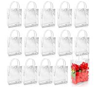 BadenBach 24 bolsas pequeñas de regalo transparentes con asas, 6.7 x 9.1 x 2.8 pulgadas, bolsa de regalo transparente de plástico transparente, bolsas de regalo a granel para bodas, baby shower