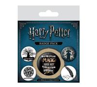 Badge pack insignia de símbolos de harry potter, multicolor, 10 x 12.