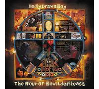 Badly Drawn Boy - The Hour Of Bewilderbeast [Vinilo]