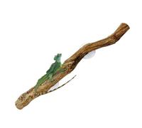 Baeroprki Ramas de para Escalar de DragóN Barbudo ÚNica Decoraciones de HáBitat Antideslizantes Naturales DecoracióN de