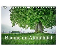 Bäume im Altmühltal (Wandkalender 2026 DIN A4 quer), CALVENDO Monatskalender: Schattenspender, knorrige Einzelgänger, Ruhepole und Wälder im Umkreis des Altmühltals und dessen Jurahöhen.