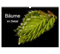 Bäume im Detail (Wandkalender 2026 DIN A3 quer), CALVENDO Monatskalender: Der Kalender zeigt Detailaufnahmen von Bäumen