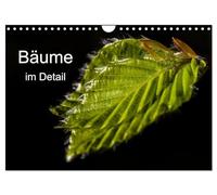 Bäume im Detail (Wandkalender 2026 DIN A4 quer), CALVENDO Monatskalender: Der Kalender zeigt Detailaufnahmen von Bäumen