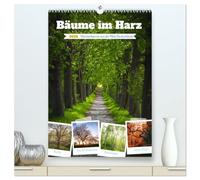 Bäume im Harz (hochwertiger Premium Wandkalender 2026 DIN A2 hoch), Kunstdruck in Hochglanz: Bäume sind verholzende Samenpflanzen, die eine Sprossachse aufweisen und sind wichtige Sauerstoff-Spender.