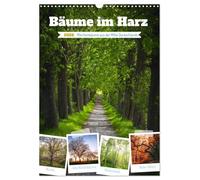 Bäume im Harz (Wandkalender 2026 DIN A3 hoch), CALVENDO Monatskalender: Bäume sind verholzende Samenpflanzen, die eine Sprossachse aufweisen und sind wichtige Sauerstoff-Spender.