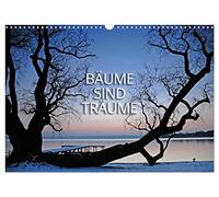 Bäume sind Träume (Wandkalender 2026 DIN A3 quer), CALVENDO Monatskalender: Bäume im Kleid der Jahreszeiten