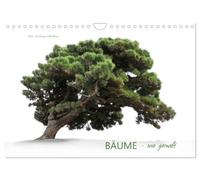 BÄUME - wie gemalt (Wandkalender 2026 DIN A4 quer), CALVENDO Monatskalender: Verschiedene Baumarten, meist im Nebel fotografiert sehen aus als wären sie von einem Künstler gemalt.