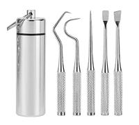 Bafnsiji Juego de Cartuchos de palillo de Dientes de Acero Inoxidable, Limpiador de eliminación de sarro del raspador de Dientes de 5 Piezas, Palillos de Dientes de Metal Reutilizables
