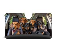 BAGEYOU Parasol para Parabrisas Delantero de automóvil, diseño de Familia de Perros Salchicha en el pastizal, Visera Reflectante de Rayos UV, Protector Solar, Mantiene el vehículo Fresco, 140x76 cm