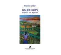 Bagliori inversi. Il sogno, la luce, le passioni (Karme)