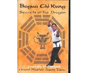Bagua Chi Kung: Secrets of the Dragon (2 DVD Set)