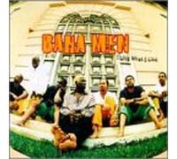 Baha Men - I Like What I Like