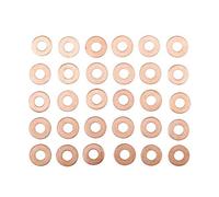 Bahco BE1305P450WS13 - Set de 30 arandelas de cobre para inyectores