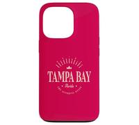 Bahía de Tampa, Florida | Bahía de Tampa, FL Moderna Carcasa para iPhone 13 Pro