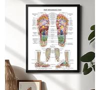 Baibexing Mapa De Reflexología Del Pie, Póster De Órgano Interno Correspondiente, Cuadro Sobre Lienzo Para Pared, Imagen Impresa, Decoración Farmacéutica Para Sala De Estar 50X70Cm Sin Marco