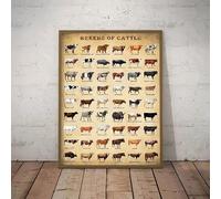 Baibexing Tabla Educativa De Razas De Vacas Y Ganado, Póster Marrón, Cuadro Sobre Lienzo Para Pared, Imágenes Impresas, Decoración Preescolar Para El Hogar Y La Granja 50X70Cm Sin Marco