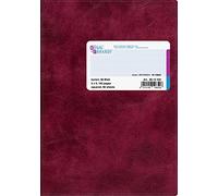 Baier & Schneider cubierta de libro de negocios, de plástico flexible, Rojo, cuadriculado, A5, 148 x 210 mm, 96 B