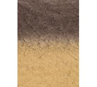 Baier & Schneider Japón de fibra Papel seda de paja degradado con arco iris, 25 g/m, 700 x 1500 mm,