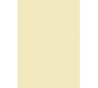 Baier & Schneider - Papel multifunción (mate, A4, 160 g/m², 25 hojas), color verde oscuro