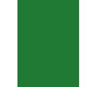 Baier & Schneider - Papel multifunción (mate, A4, 80 g/m², 50 hojas), color verde oscuro