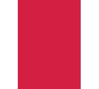 Baier & Schneider - Papel universal multifunción (Papel, mate, A4, 160 g/m², color rojo, 25 hojas