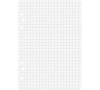 Baier & Schneider - Recambio para archivador (tamaño A6, 105x148 mm, 70 g/m², perforado múltiple, a cuadros)