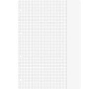 Baier & Schneider - Recambio para cuaderno (tamaño A4, 70 g/m², 4 agujeros, con cuadrícula, 26 líneas) 100 hojas