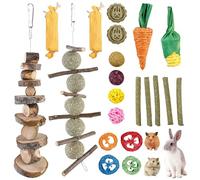 BAIFULAI 21 piezas Conejo Juguetes Empleo para masticar, accesorios para conejos con palitos de manzana Timothy Heno, animales pequeños Molar Cuidado dental para hámsters, cobayas, loro