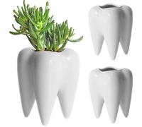 BAIFULAI Maceta de cerámica en forma de dientes, maceta para lápices, mini maceta, cactus, suculentas, para jardín, oficina, escritorio, decoración, regalo creativo