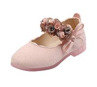 Bailarinas Niña Zapato Planas Comodo Zapatos de Baile para Niños Elegante Mary Jane Shoes con Decoración Floral Fondo Suave Antideslizantes Versátil Merceditas Niña Cuatro Estaciones