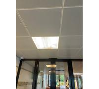 Bailey Led Pl 2G11 24W 4000K Lámpara Profesional - 80100038477