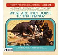 Bailin / Baker / Cage / Boyd / Gosling - What Are They Doing To That Piano