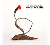 Baird Meg and Mary Lattimore - Ghost Forests [Coke Bottle Clear