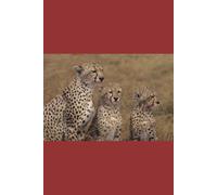 B'ajlom ii Nkotz'i'j Publications' A Concise Swahili Grammar