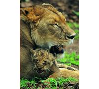B'ajlom ii Nkotz'i'j Publications' Luo Phrasebook: Ideal for Traveling to Kenya and Tanzania