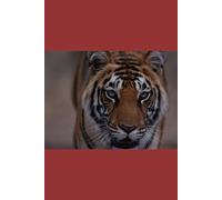 B'ajlom ii Nkotz'i'j Publications' Mizo Phrasebook: Ideal for Traveling to the Indian State of Mizoram in Northeastern India
