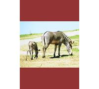 B'ajlom ii Nkotz'i'j Publications' Wolof Phrasebook: Ideal for Traveling to Senegal, the Republic of Gambia, and Mauritania