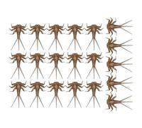 Bajos MOIDOS - Señuelos de cercanía de la Floza Bass | Fly Fly Rectist 20X, NINFA Body Componentes, Surtido de con Mosca a Mano, Kit de Mosca de para salmón