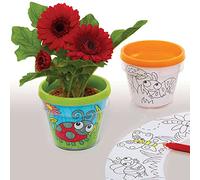 Baker Ross FC698 Macetascon Insectos para Colorear - Juego de 2